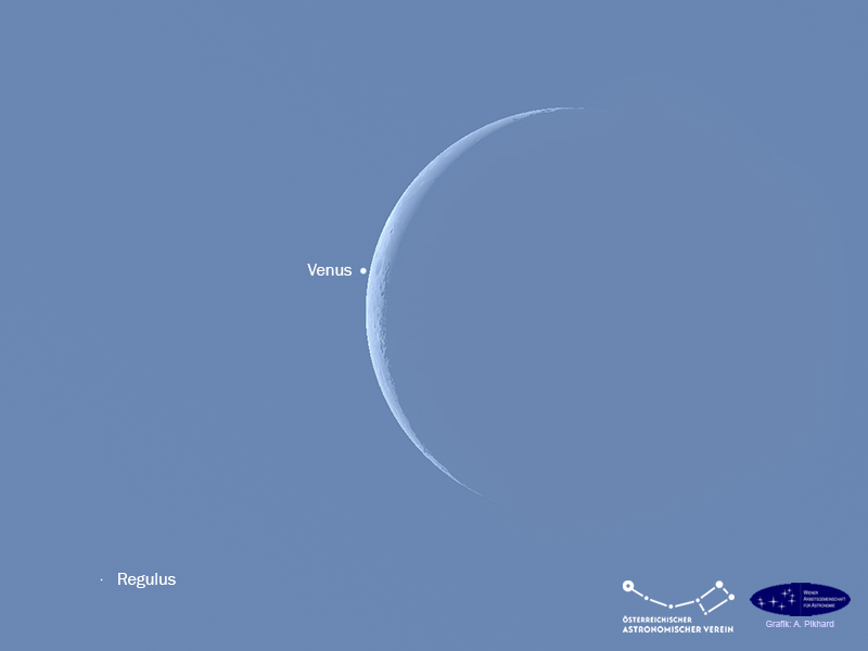 Mond, Venus und Regulus kurz vor Beginn der Venusbedeckung, 19.9.2025,14.16 Uhr MESZ
