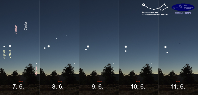 Venus und Jupiter, zusammen mit Merkur, Castor und Pollux, in der Abenddämmerung von 7. bis 11. Juni 2026.