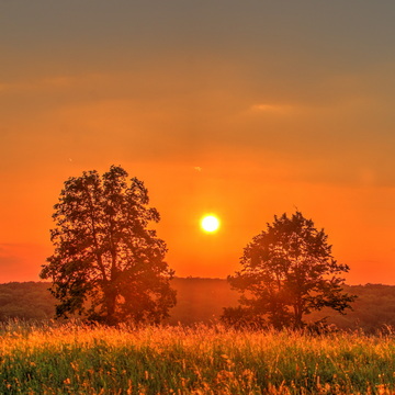 Sonnenuntergang 23. 6. 2020