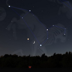 Mond und Mars im Löwen, 29. 6. 2025