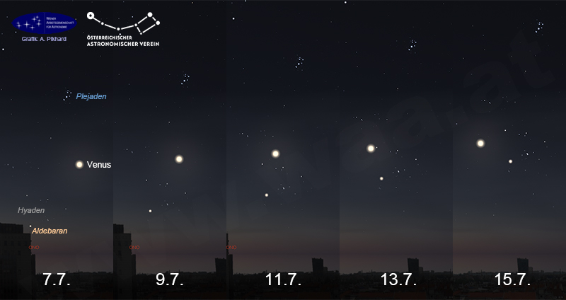 Venus im Goldenen Tor, 7. bis 15. Juli 2025