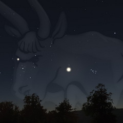 Venus im Goldenen Tor, 26. April 2026