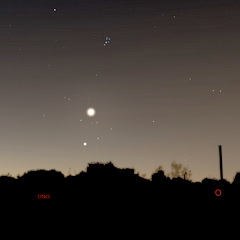 Venus im Goldenen Tor