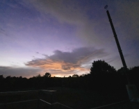 Sterngarten: Warum es sich lohnt, in die Sterne zu schauen